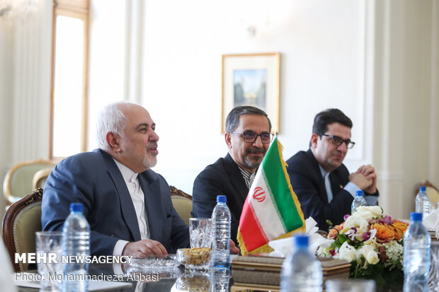 Iran's Zarif meets Austria's Schallenberg in Tehran
