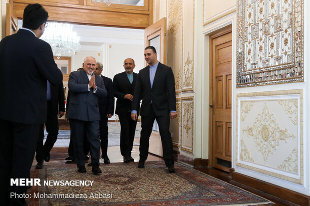 Iran's Zarif meets Austria's Schallenberg in Tehran
