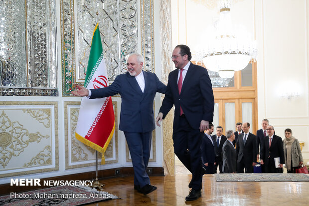 Iran's Zarif meets Austria's Schallenberg in Tehran
