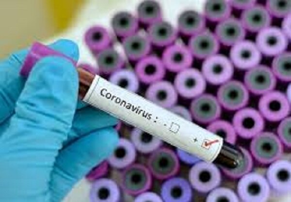 ایران میں کورونا وائرس غیرقانونی طریقہ سے داخل ہونے والے افراد کے ذریعہ پہنچا