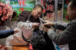 کنگره ملی چین تجارت و مصرف حیوانات وحشی را ممنوع کرد