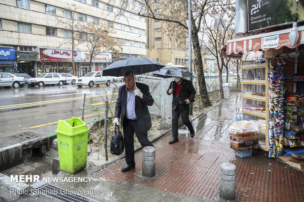 بارش باران در تهران