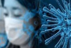 ثبت نخستین مورد ابتلا به ویروس کرونا در هلند