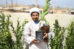 ابداع یک روحانی جوان در کاشت هزاران اصله درخت در مناطق محروم