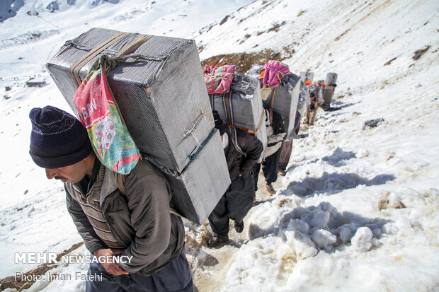 کولبری در برف