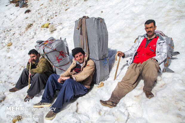 کولبری در برف