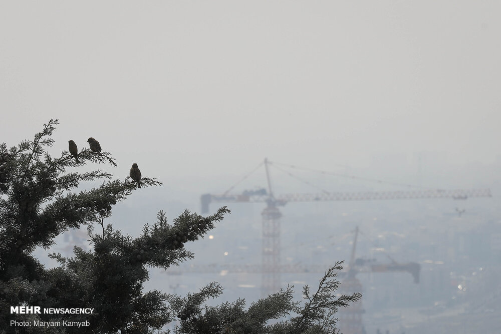 هوای آلوده شهر تبریز