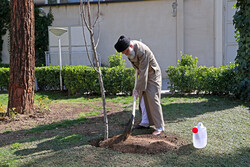 Leader plants saplings to mark Arbor Day