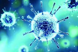 Iran's 1st positive case of coronavirus registered on Feb. 19