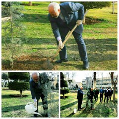 Zairf plants sapling to highlight Arbor Day