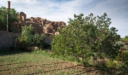 Hundreds of natural resource projects to come on stream