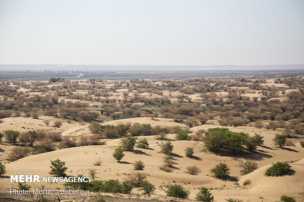 توسعه مالچ سنگ‌ریزه‌ای برای مقابله با بیابان زایی در سراسر کشور 