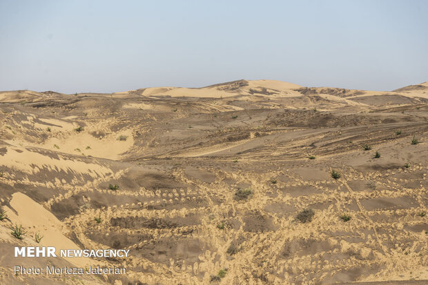 مالچ پاشی شن زارهای ام دبس دشت آزادگان