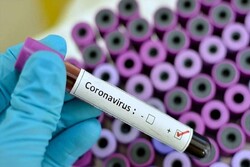 برازيل میں کورونا وائرس سے 55 ہزار 54 افراد ہلاک