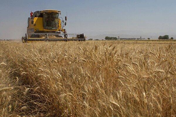 نگرانی وزرای کشاورزی «گروه هفت» از کمبود مواد غذایی در جهان
