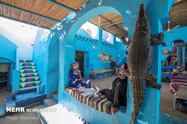 جذب گردشگر با نگهداری تمساح در خانه