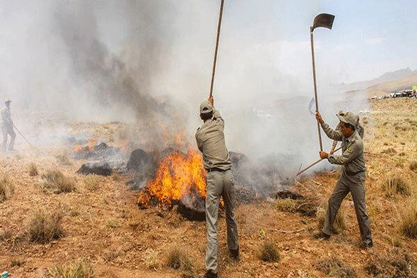 ۸۲۵ هکتار از اراضی استان قزوین امسال در آتش سوخت