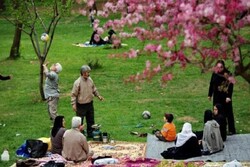 'Sizdah Be-dar', celebration to bid farewell to Nowruz