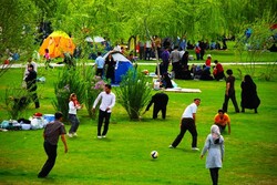 'Sizdah Be-dar', celebration to bid farewell to Nowruz