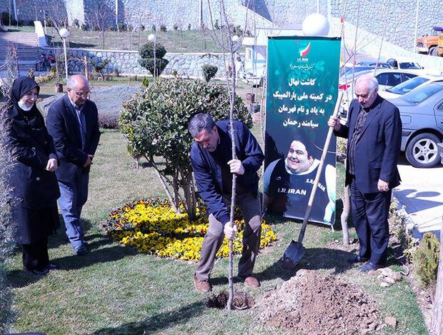 Iran’s NPC plants sapling in honor of Siamand Rahman