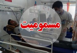مسمومیت ۱۷ نفر بر اثر مونوکسید کربن در باغ‌های استان فارس