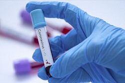خیبرپختونخوا میں طبی عملے کے 30 اہلکار کورونا وائرس کا شکار