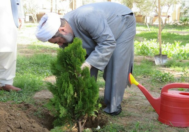 غرس نهال توسط نماینده ولی فقیه در سیستان و بلوچستان