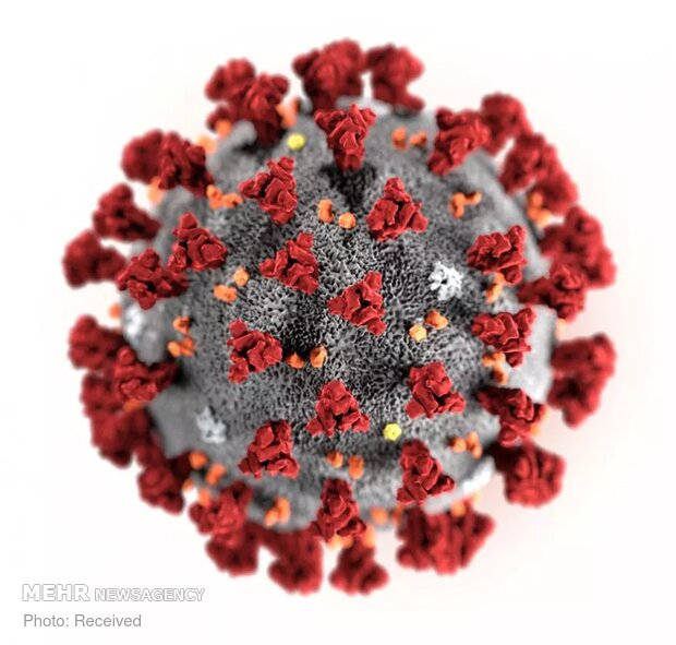 کرونا ویروس زیر میکروسکوپ