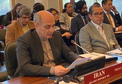 Iran’s envoy elected vice-chair of OPCW Executive Council