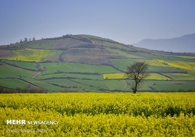 Northern Golestan province welcoming spring