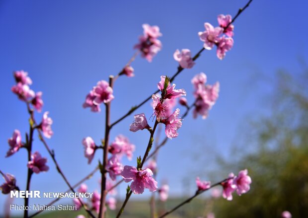 Northern Golestan province welcoming spring