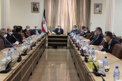 Foreign Ministry hosts meeting to mull over ways to reduce problems caused by COVID-19