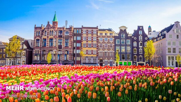 تصاویر بهاری از کشورهای مختلف دنیا