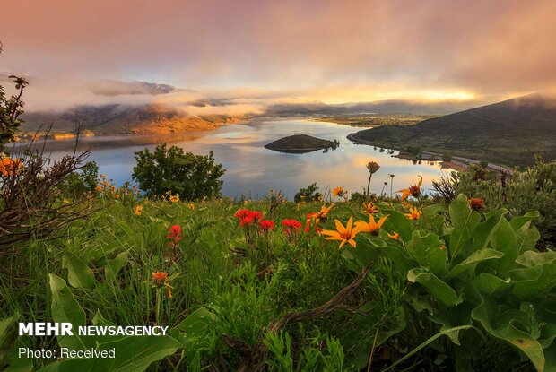 تصاویر بهاری از کشورهای مختلف دنیا