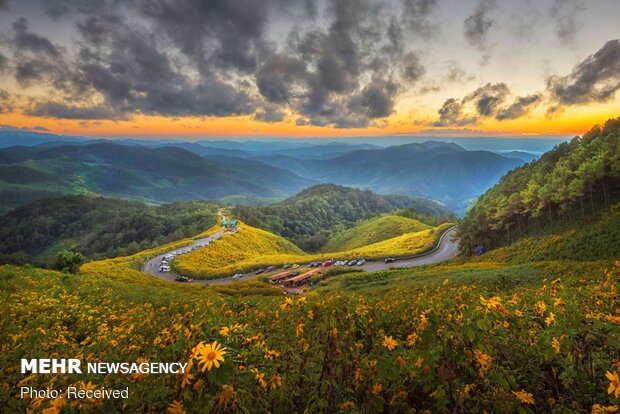 تصاویر بهاری از کشورهای مختلف دنیا