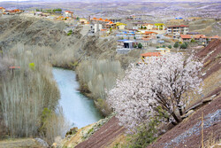 شوێن پێی بەهار