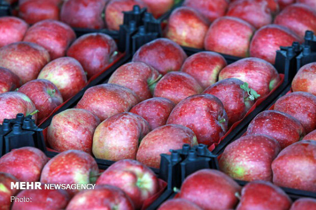 جزئیات توزیع میوه شب عید در استان قم/آدرس غرفه‌های تنظیم بازار