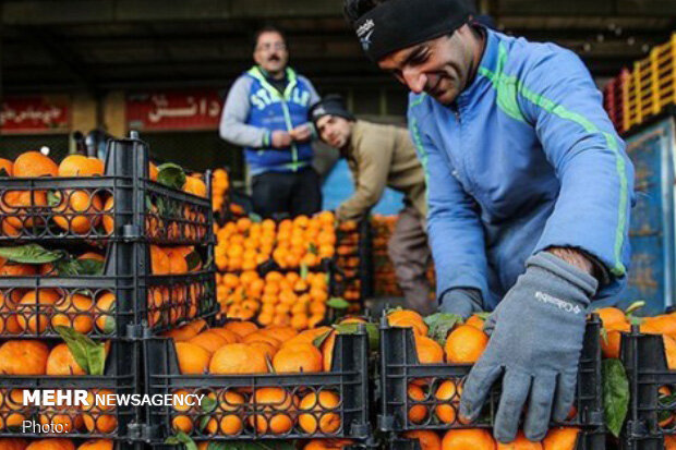 میوه شب عید از شنبه با بنر تنظیم بازار توزیع می‌شود