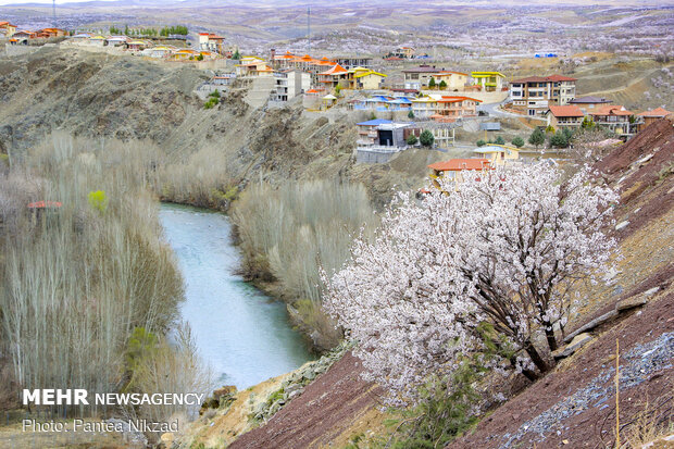 Spring blossoms in Chaharmahal and Bakhtiari Province
