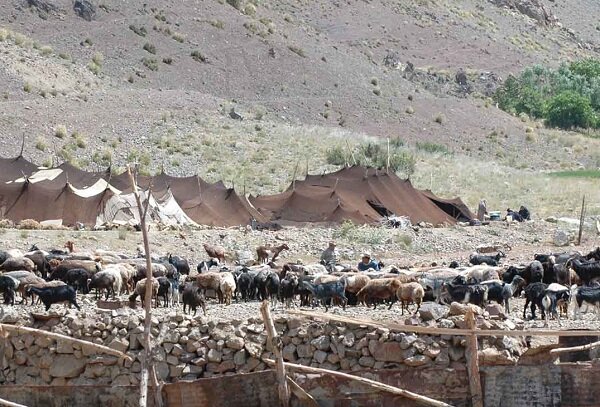 شیوه نامه احداث سرپناه برای عشایر در مراحل نهایی است