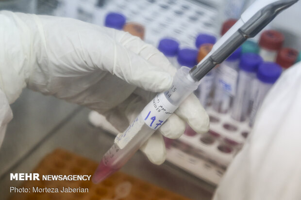 Iran preparing to export PCR kits: Sattari