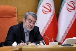 زهرا احمدی به سمت مدیرکل تقسیمات کشوری منصوب شد