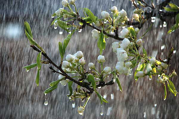 بارش باران و برف در زنجان آغاز می شود