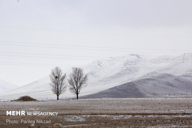 قابِ زمستانیِ بهار