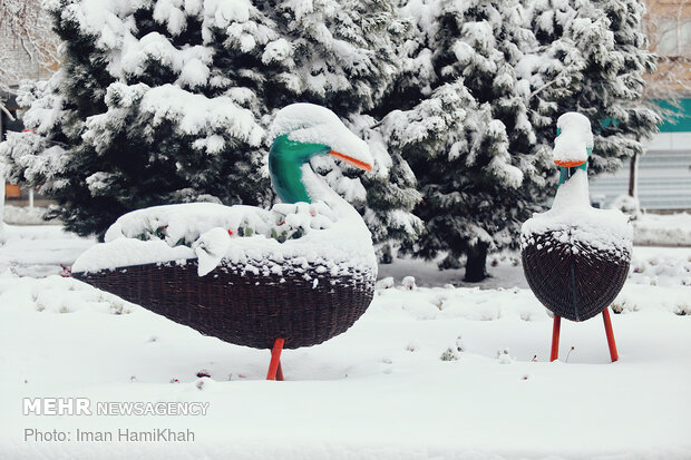 Snowy spring in Hamedan