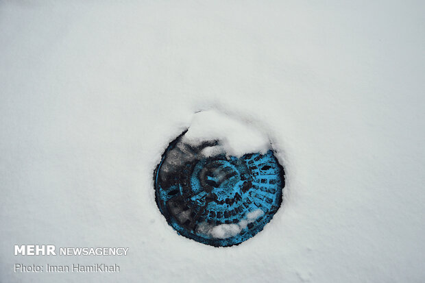 Snowy spring in Hamedan