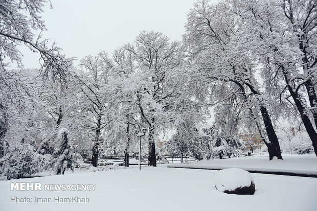 Snowy spring in Hamedan