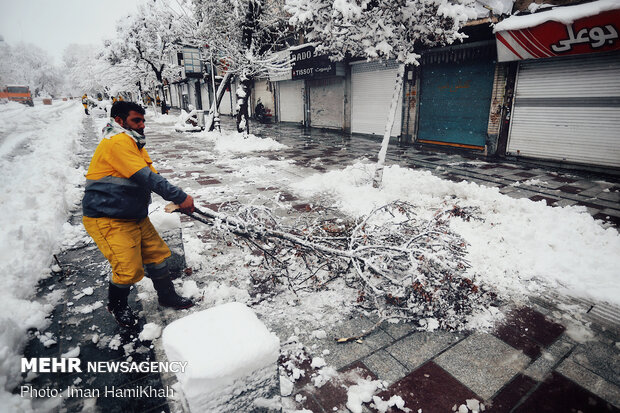 Snowy spring in Hamedan