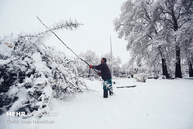 Snowy spring in Hamedan