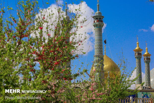 Spring blossoms in Qom
